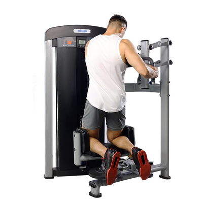 Gimnasio comercial de acero para el gimnasio de acero para el torso interior de la máquina de rotación para el rendimiento óptimo