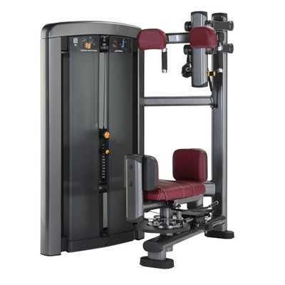 Gimnasio comercial de acero para el gimnasio de acero para el torso interior de la máquina de rotación para el rendimiento óptimo