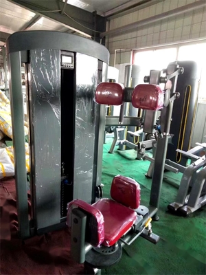 Gimnasio comercial de acero para el gimnasio de acero para el torso interior de la máquina de rotación para el rendimiento óptimo