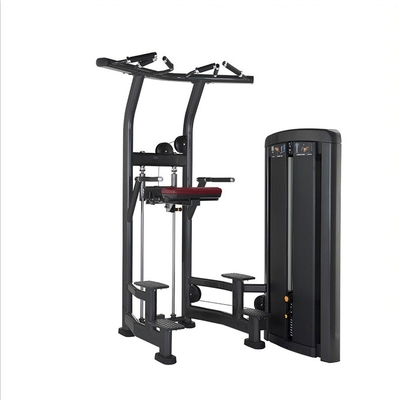 Equipo de gimnasio para el entrenamiento de fuerza comercial