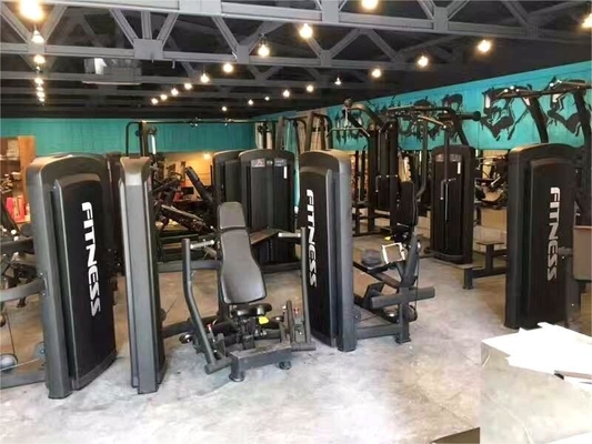 Equipo de gimnasio para el entrenamiento de fuerza comercial