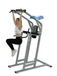 Equipo de gimnasio Pull Up Bar Levantamiento de piernas y ejercicios de pecho y hombro Power Tower Dip Station
