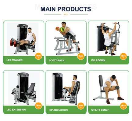 Fabricantes de equipos de gimnasio Máquina de ejercicio Equipo de entrenamiento Pneumático Flip Elige tu color