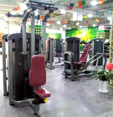 Equipo de gimnasio comercial Entrenador multifuncional para presión torácica y extensión de espalda