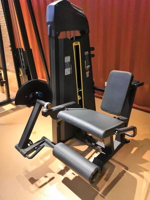 Bodybuilding Selección de carga de alfiler Extensión de piernas sentada para entrenamiento funcional