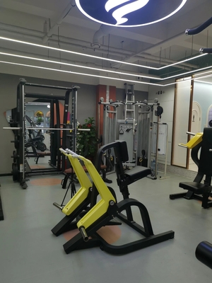 Home Gimnasio Equipo de ejercicios Placa Cargado Prensa de hombro personalizada para altos estándares
