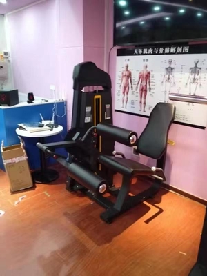 Equipo de ejercicios para el gimnasio en el hogar 2 en 1 Extensión de piernas sentada máquina de curl para el culturismo