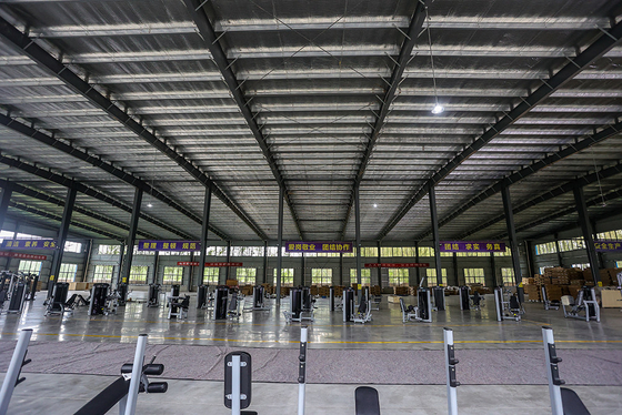 Centro de gimnasia Cuadro Color opcional Seleccionable Barbilla Baja Pierna Levanta Ejercicio Máquina de acondicionamiento físico