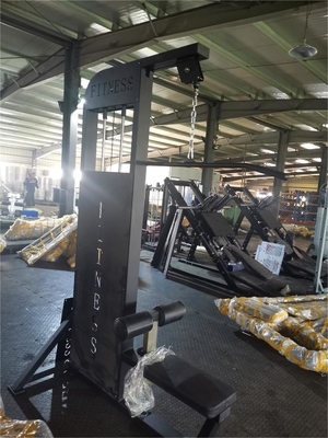 Equipo de entrenamiento de fuerza para ejercicios físicos Máquina de tracción latina de fila baja para un entrenamiento efectivo