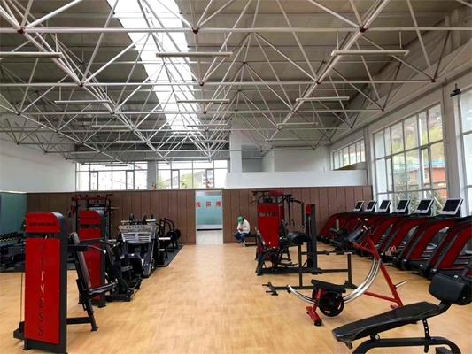 Máquina de extensión con respaldo de acero para entrenamiento de fuerza Equipo de acondicionamiento físico