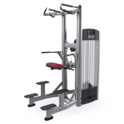Entrenamiento de fuerza Pin cargado Pull Up Bar Triceps Deltoides Entrenamiento de la máquina de inmersión