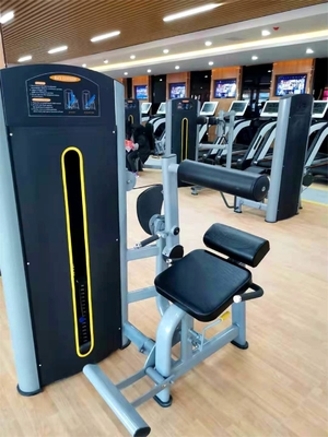 Equipo de gimnasio comercial Entrenador abdominal cargado con alfiler Máquina de extensión de espalda ajustable