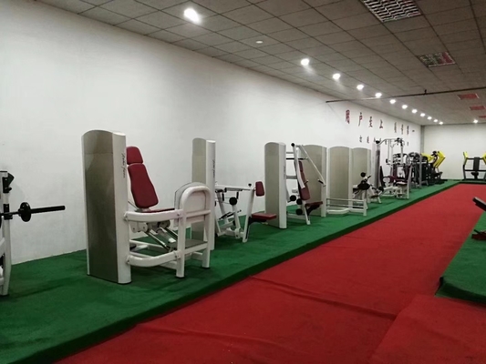 Equipo de gimnasio comercial Entrenador abdominal cargado con alfiler Máquina de extensión de espalda ajustable