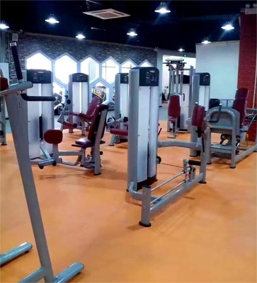 Máquina de Glute Kickback La adición perfecta a su gimnasio entrenamiento de fuerza centro