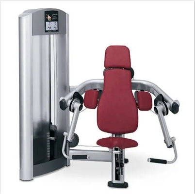 Equipo de gimnasio comercial Mejor máquina de rizado de bíceps con logotipo personalizado disponible