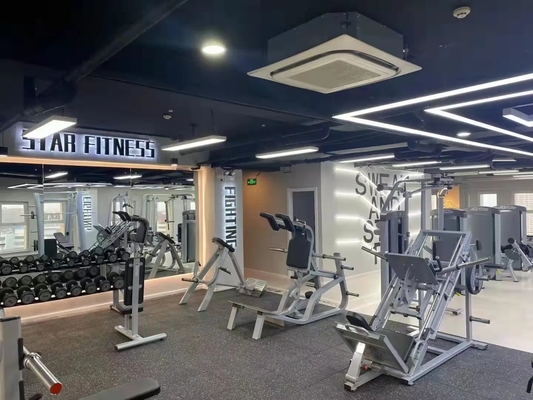 Inicio Ejercicio Comercial Pecho Mosca y Máquina Delt trasera 1540 * 1790 * 1480 mm Dimensiones