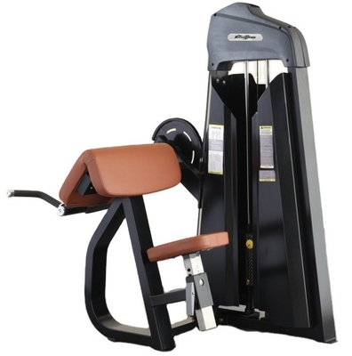Equipo de gimnasio de entrenamiento de fuerza comercial Máquina de rizado de bíceps con diseño personalizado