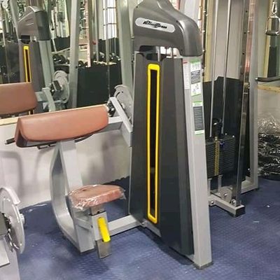 Equipo de gimnasio de entrenamiento de fuerza comercial Máquina de rizado de bíceps con diseño personalizado