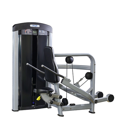 Cargador medio Equipo de gimnasio de gimnasio de Befreeman