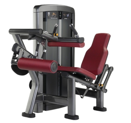 Máquina de acero comercial para la extensión de piernas con asiento ajustable y carga de alfil