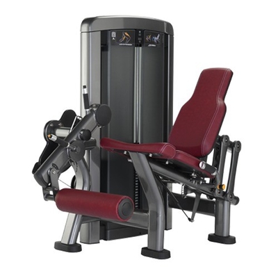 Extensión de pierna sentada ajustable para cuádriceps y espinillas Cargador medio personalizado