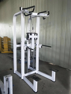 Logotipo personalizado Pin Cargado Fitness Seleccionado Asistir a la máquina de la barbilla para el culturismo 262KG