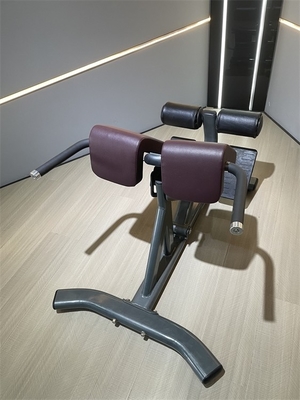 Equipo de acondicionamiento físico comercial Silla romana de extensión de espalda con marco metálico 1360*790*880