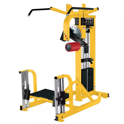 Aptidón profesional Máquina de glúteos de cadera Befreeman Gimnasio comercial Función de culturismo