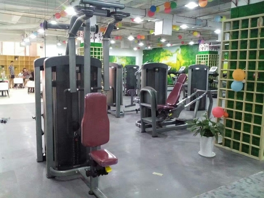 Equipo de carga de pines del gimnasio Máquina de vuelo Delt Pec trasera personalizada para entrenamiento de fuerza