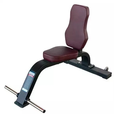Banco multipropósito para equipos de gimnasio comerciales personalizados de Befreeman Fitness