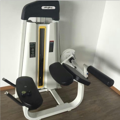 Experimenta el poder de la máquina de curva de piernas de carga media en Befreeman Indoor Gym