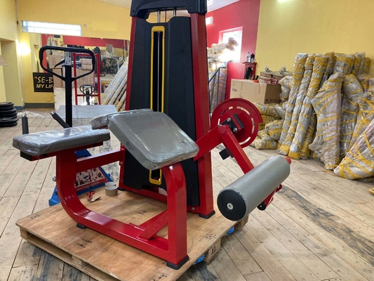 Experimenta el poder de la máquina de curva de piernas de carga media en Befreeman Indoor Gym
