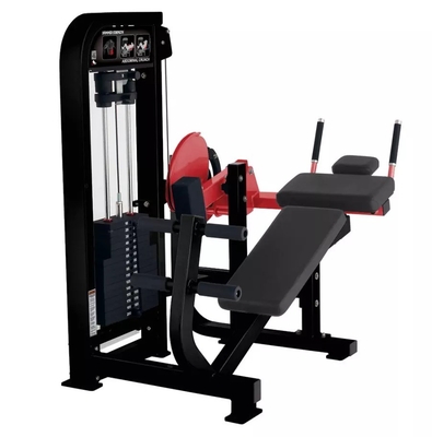 Máquina de ejercicios abdominales personalizada para el centro de gimnasia en Befreeman Gym Equipment
