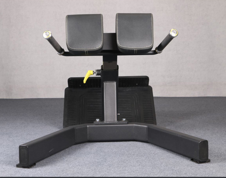Salón de gimnasia Fitness 45 grados Máquina de extensión de espalda silla romana Salón de gimnasia Banco Unisex Género Unisex