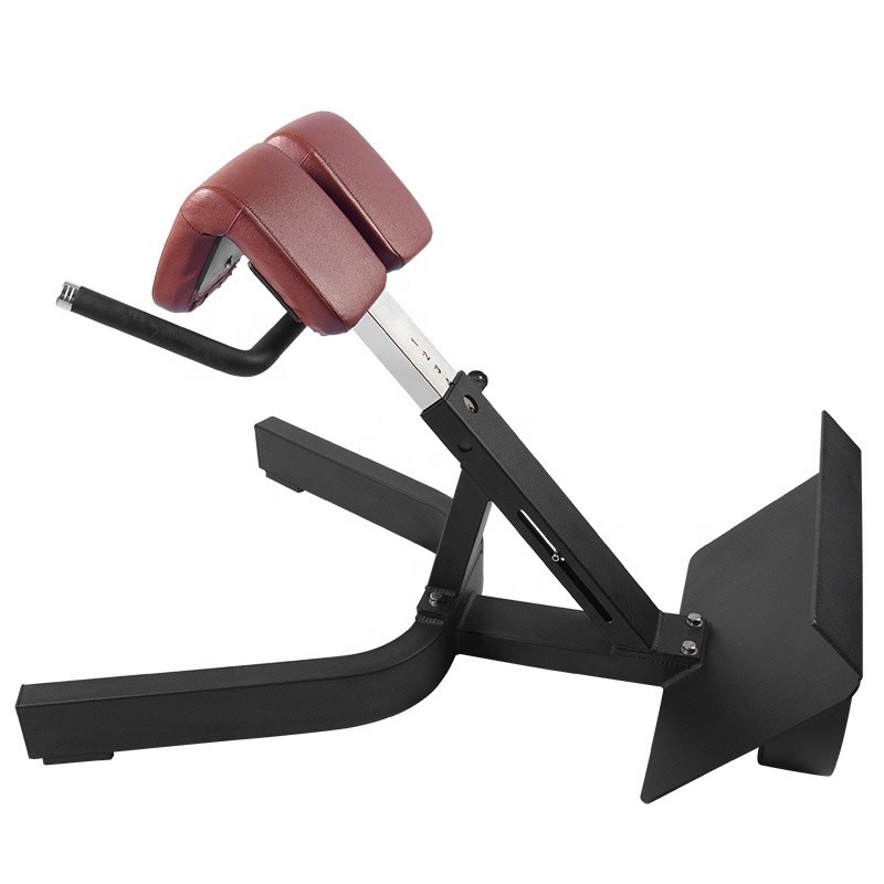 Entrenamiento de fuerza Multifunción Brazo de recubrimiento de espalda de extensión Banco silla romana para unisexo
