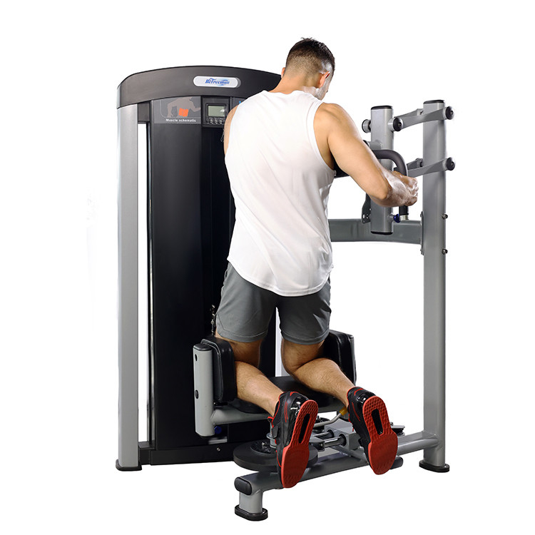 Gimnasio comercial de acero para el gimnasio de acero para el torso interior de la máquina de rotación para el rendimiento óptimo