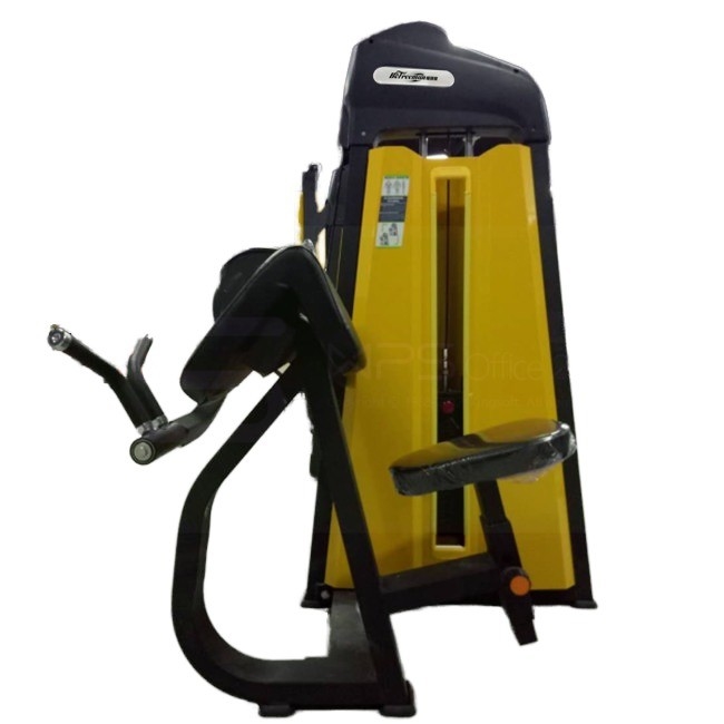 1380*930*1580 Máquina de resistencia comercial Camber Curl para equipos de gimnasio por Befreeman