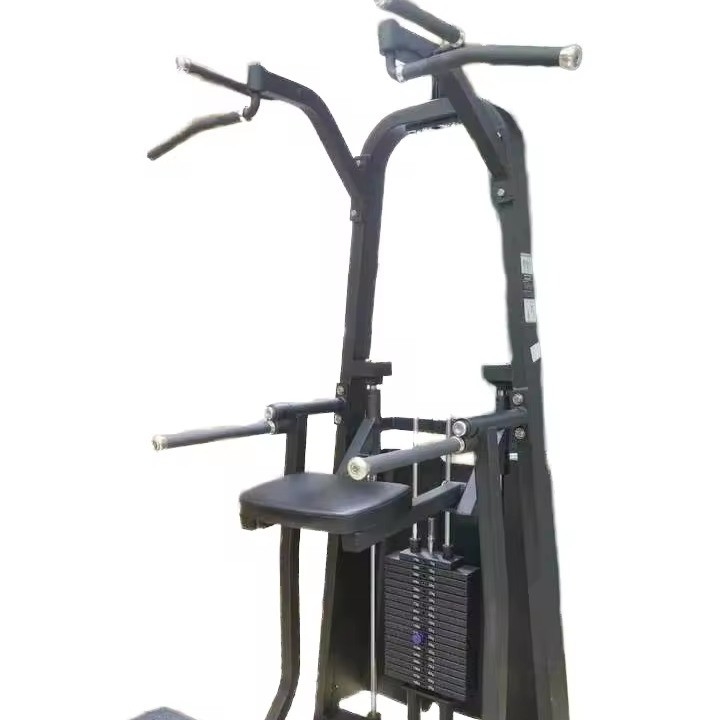 Máquina de gimnasia personalizada con pines cargada con Dip/Chin Asistido Ideal para el entrenamiento de piernas de hombro